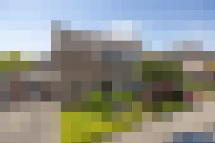 Patrijs 6 Etten-Leur thumbnail 38