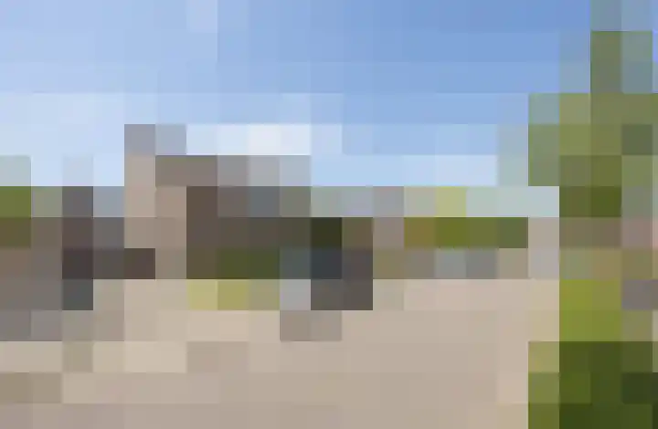 Patrijs 6 Etten-Leur thumbnail 39