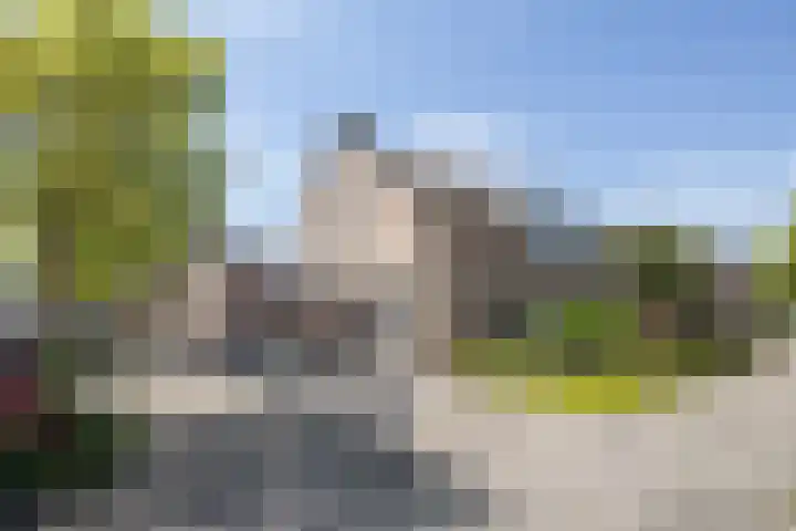 Patrijs 6 Etten-Leur thumbnail 5