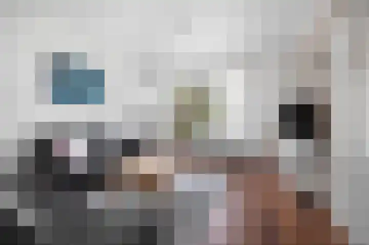 Patrijs 6 Etten-Leur thumbnail 8