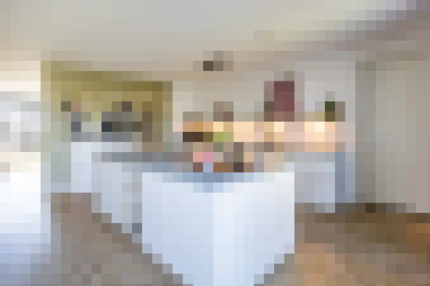 Patrijs 6 Venray thumbnail 12