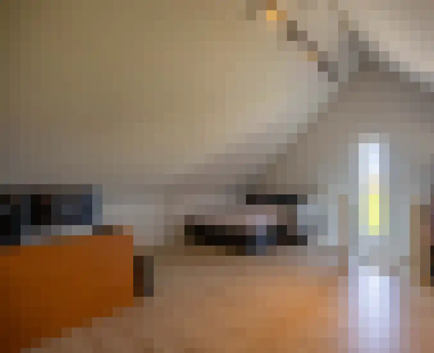 Patrijs 6 Venray thumbnail 31