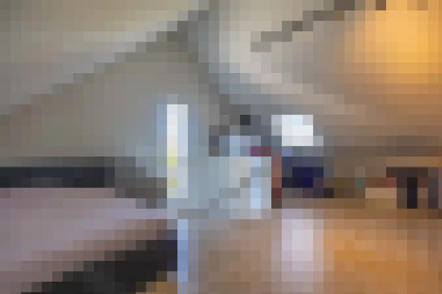 Patrijs 6 Venray thumbnail 32