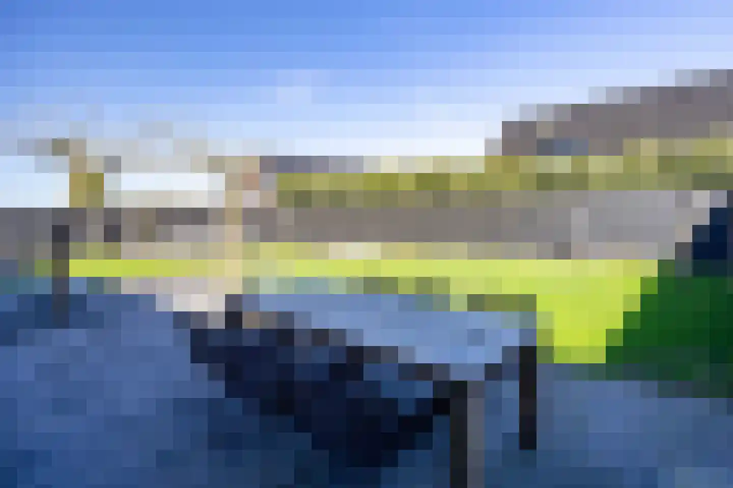 Patrijs 6 Venray thumbnail 33