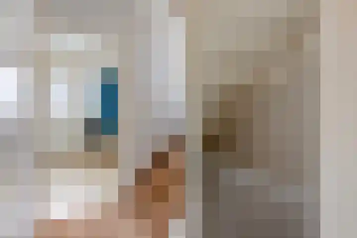Patrijs 63 Veldhoven thumbnail 12