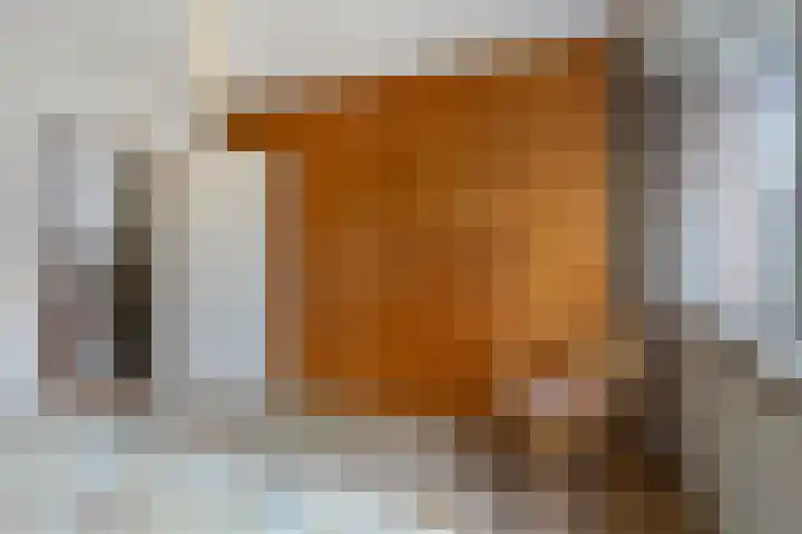 Patrijs 63 Veldhoven thumbnail 14