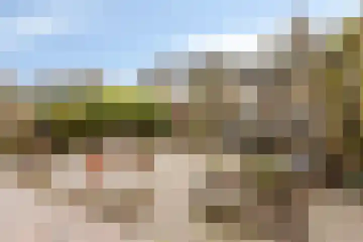 Patrijs 63 Veldhoven thumbnail 23