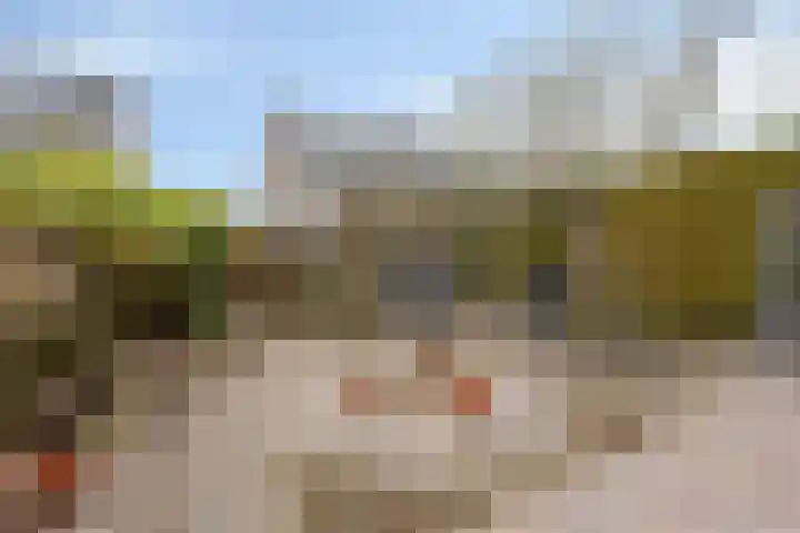 Patrijs 63 Veldhoven thumbnail 24