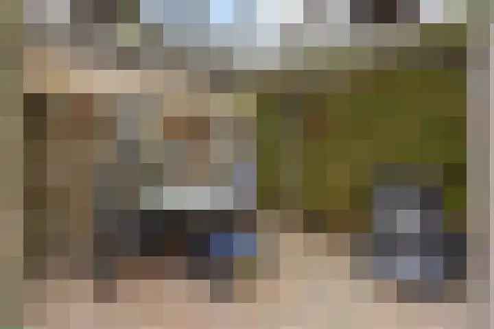 Patrijs 63 Veldhoven thumbnail 25