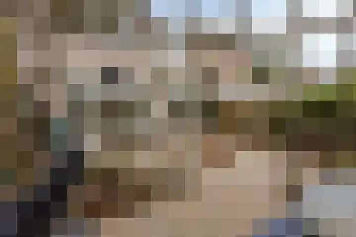 Patrijs 63 Veldhoven thumbnail 27