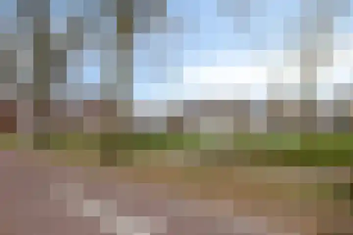 Patrijs 63 Veldhoven thumbnail 29