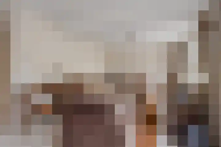 Patrijs 63 Veldhoven thumbnail 6