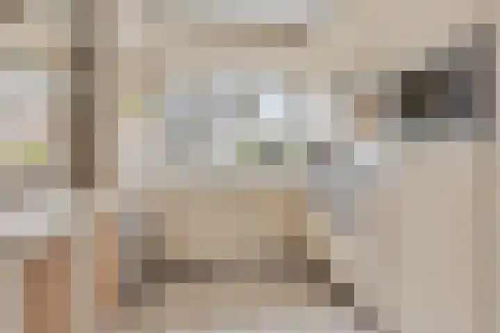 Patrijs 63 Veldhoven thumbnail 9