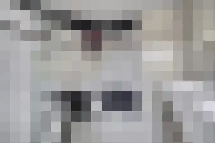 Patrijs 7 Hoogvliet Rotterdam thumbnail 16