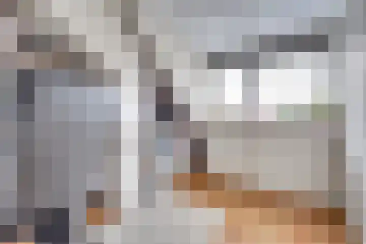 Patrijs 7 Hoogvliet Rotterdam thumbnail 20