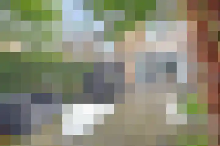 Patrijs 7 Hoogvliet Rotterdam thumbnail 24