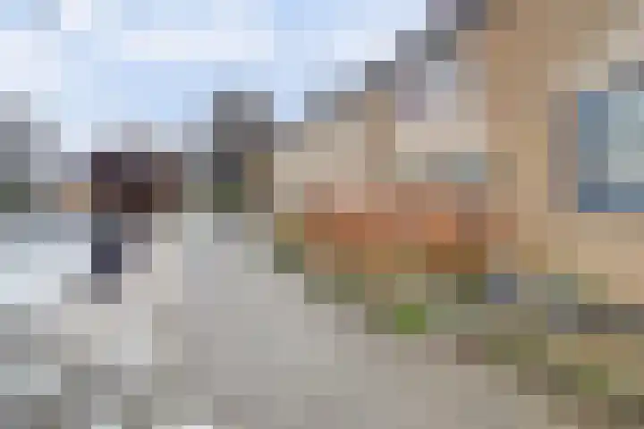 Patrijs 7 Hoogvliet Rotterdam thumbnail 28