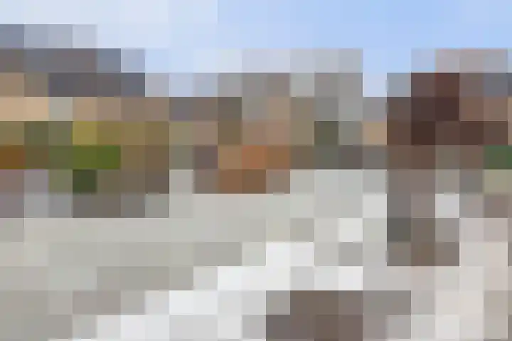 Patrijs 7 Hoogvliet Rotterdam thumbnail 29