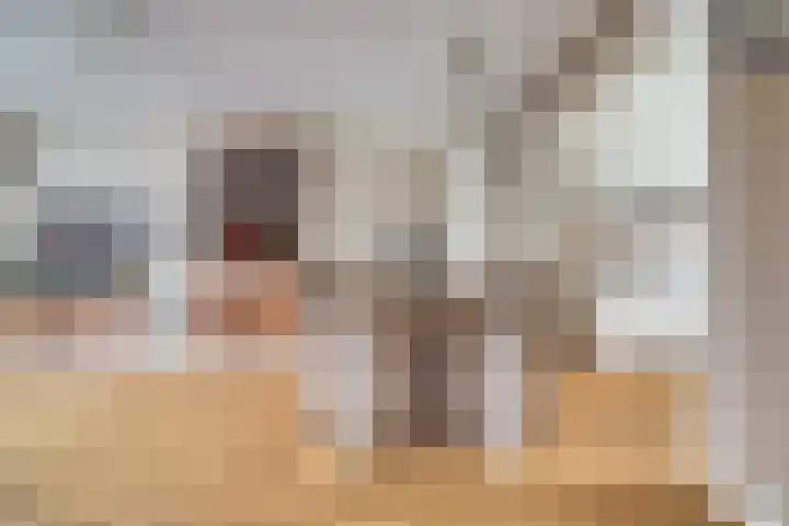Patrijs 7 Hoogvliet Rotterdam thumbnail 6
