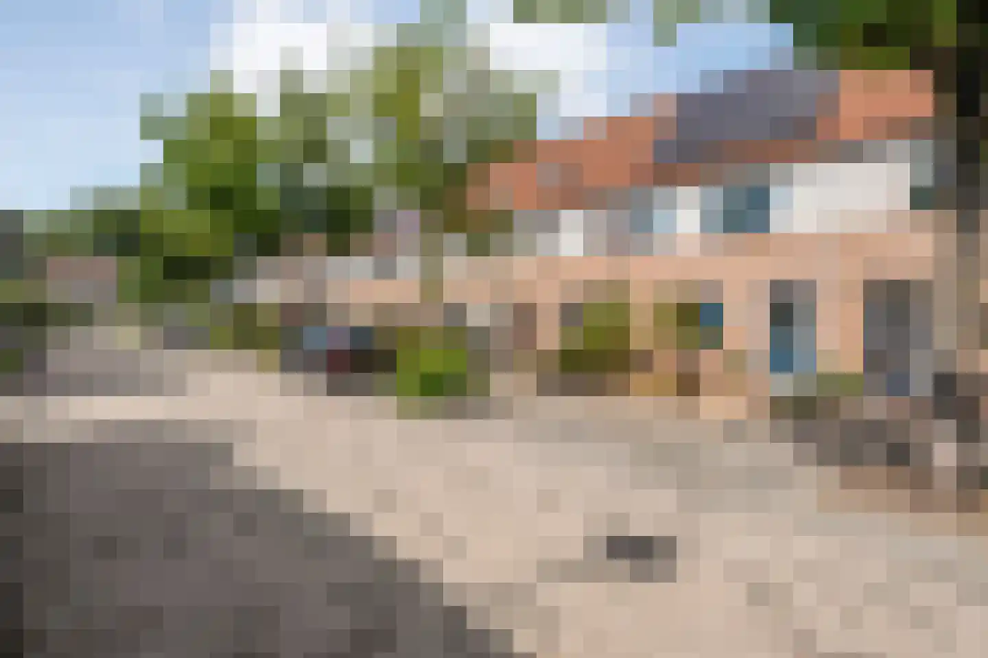 Patrijs 70 Meppel thumbnail 10