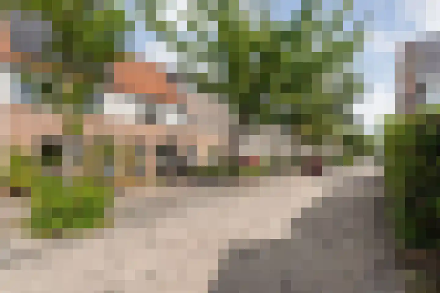 Patrijs 70 Meppel thumbnail 12