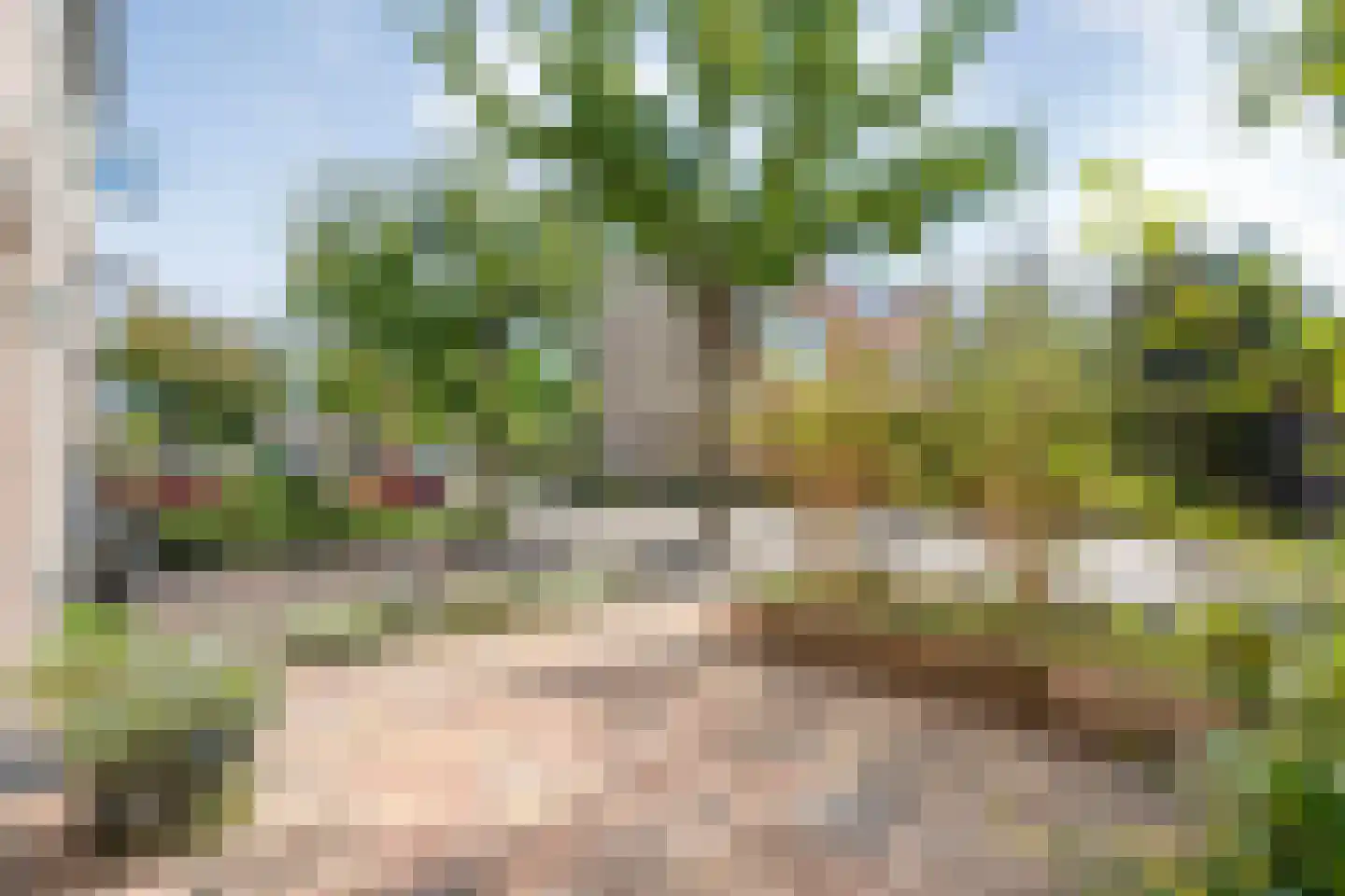 Patrijs 70 Meppel thumbnail 15