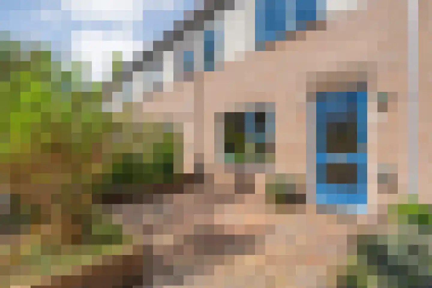 Patrijs 70 Meppel thumbnail 16