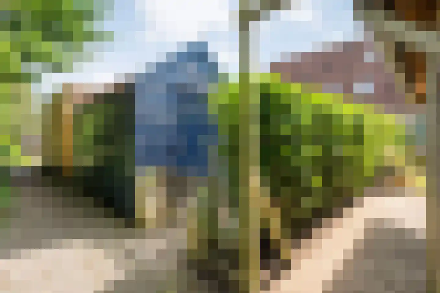 Patrijs 70 Meppel thumbnail 47