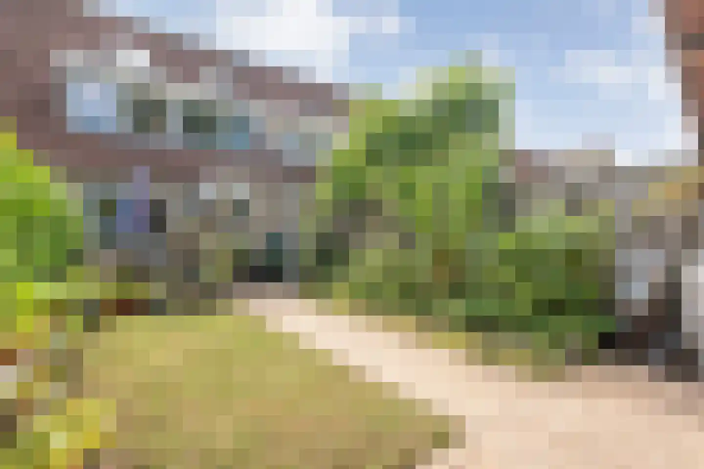 Patrijs 70 Meppel thumbnail 49