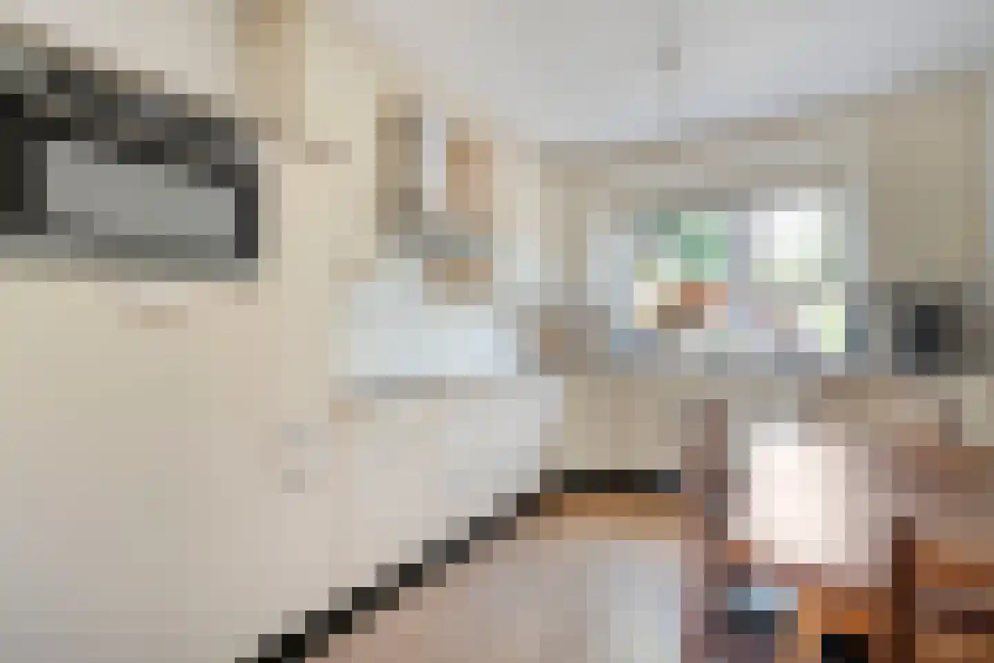 Patrijs 70 Meppel thumbnail 5