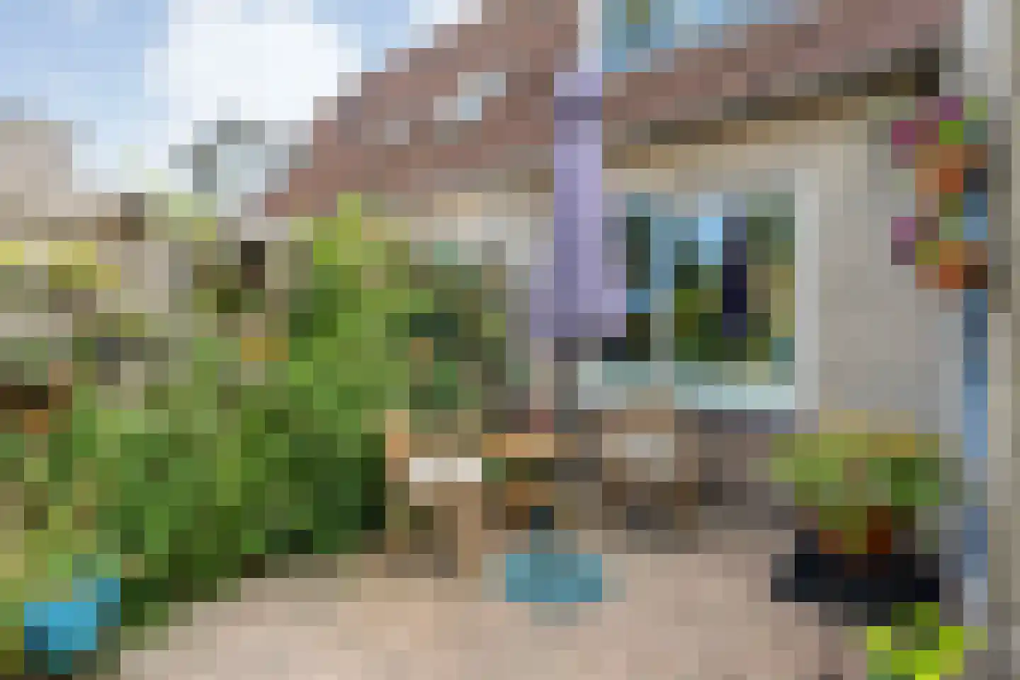 Patrijs 70 Meppel thumbnail 51
