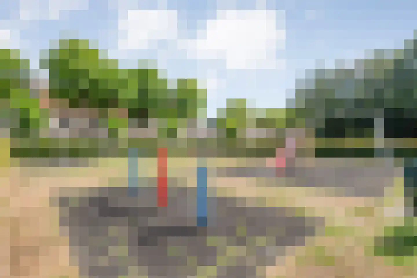 Patrijs 70 Meppel thumbnail 54
