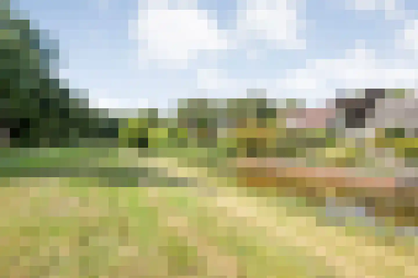 Patrijs 70 Meppel thumbnail 55
