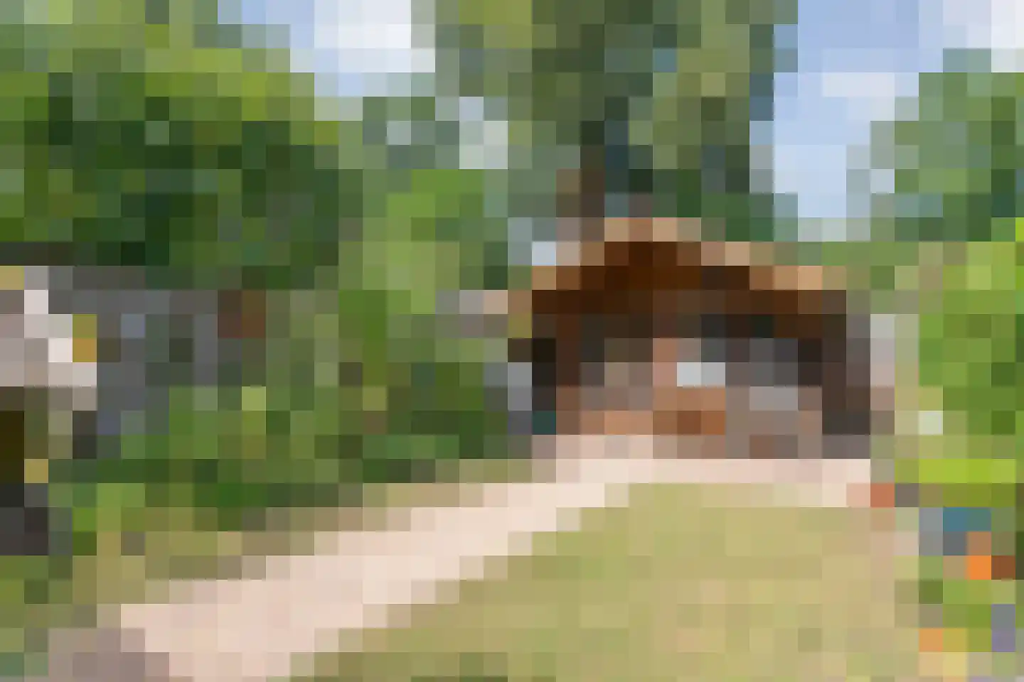 Patrijs 70 Meppel thumbnail 6