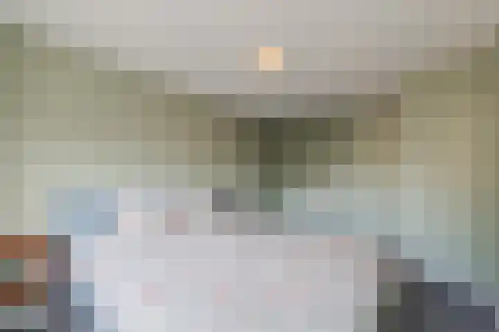 Patrijs 72 Meppel thumbnail 12