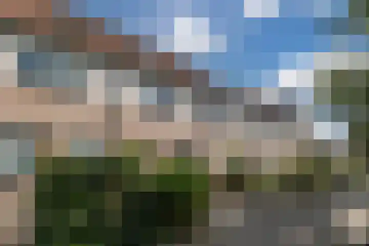Patrijs 72 Meppel thumbnail 21