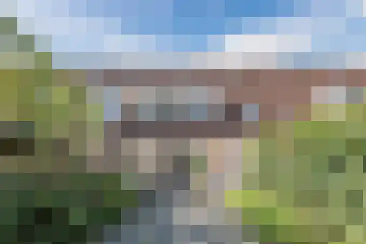 Patrijs 72 Meppel thumbnail 22