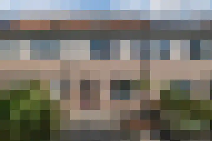 Patrijs 72 Meppel thumbnail 31