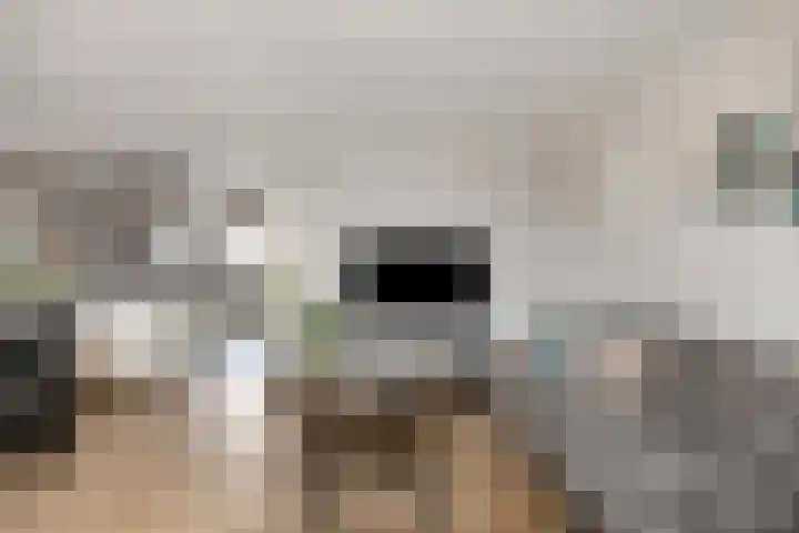 Patrijs 9 Veldhoven thumbnail 11