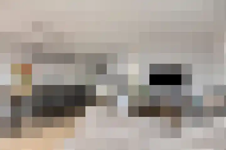 Patrijs 9 Veldhoven thumbnail 12