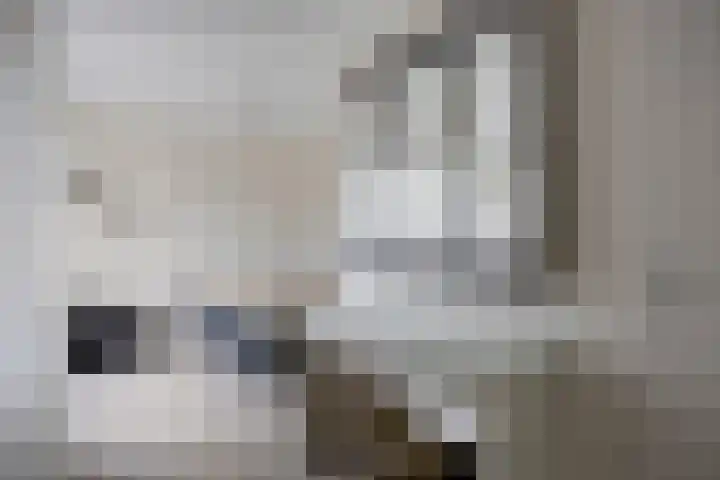 Patrijs 9 Veldhoven thumbnail 16