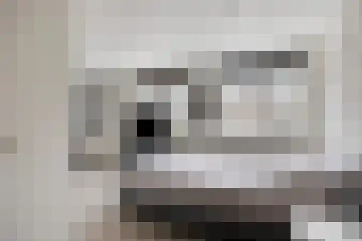 Patrijs 9 Veldhoven thumbnail 17
