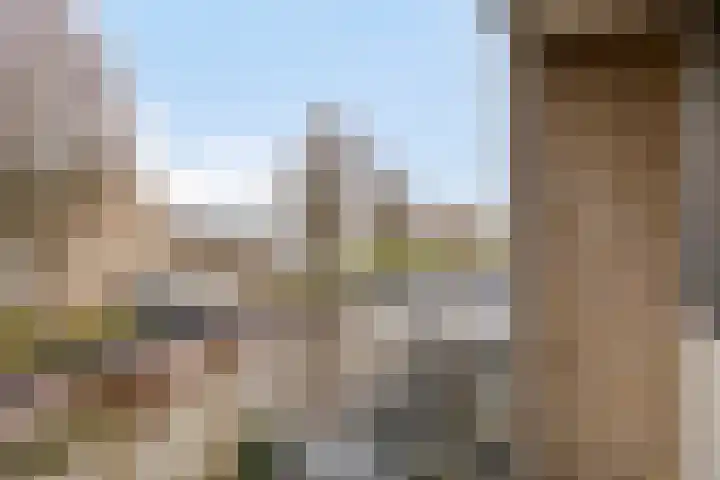 Patrijs 9 Veldhoven thumbnail 22