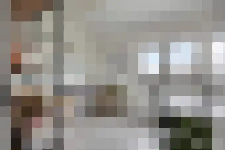 Patrijs 9 Veldhoven thumbnail 27
