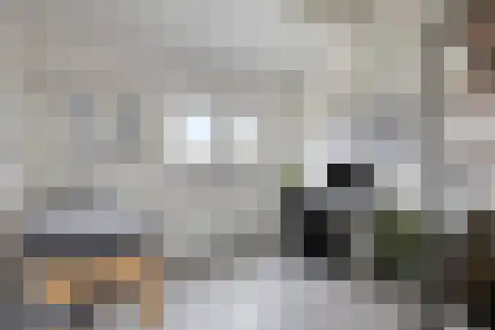 Patrijs 9 Veldhoven thumbnail 28