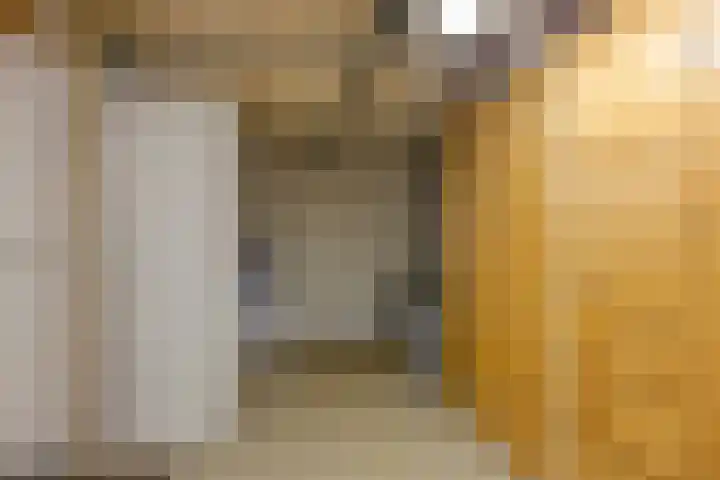 Patrijs 9 Veldhoven thumbnail 33