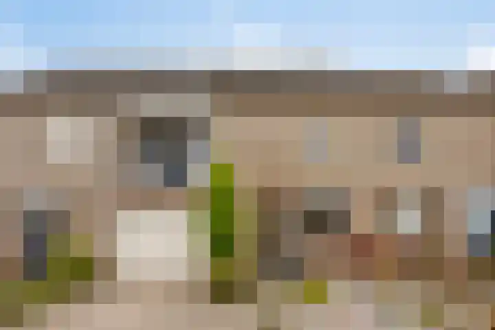 Patrijs 9 Veldhoven thumbnail 37