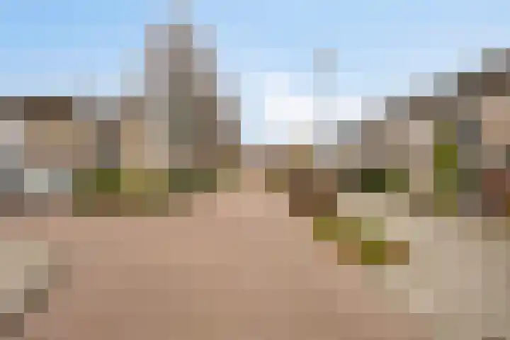 Patrijs 9 Veldhoven thumbnail 38