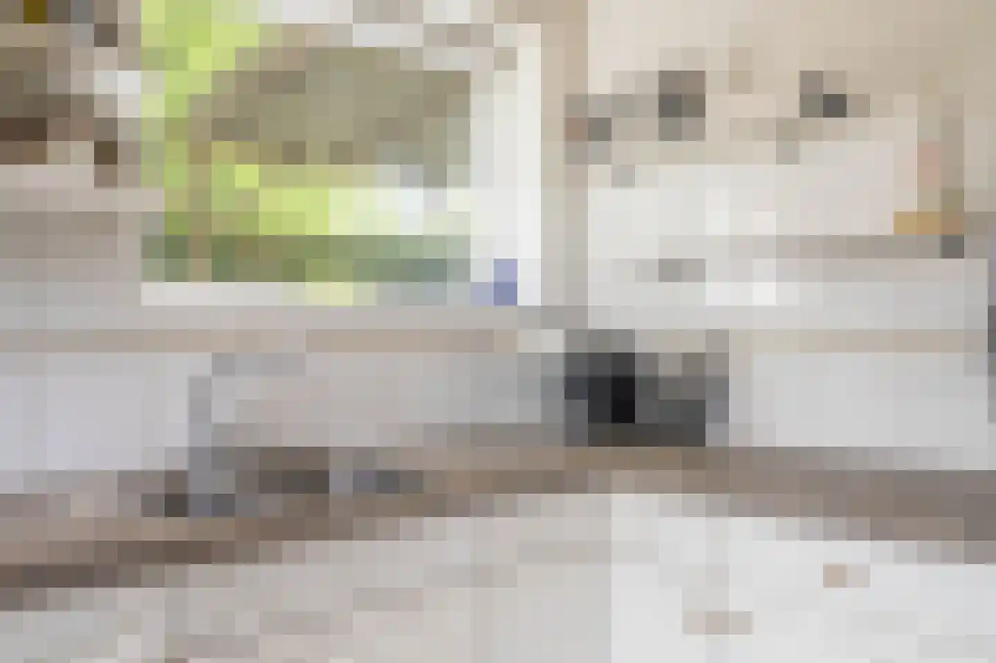 Patrijsakkers 21 Heiloo thumbnail 16