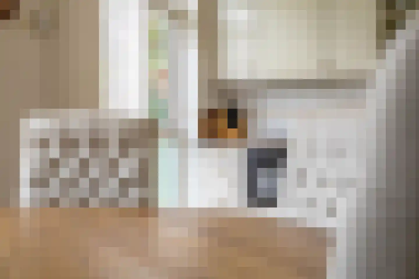 Patrijsakkers 21 Heiloo thumbnail 18